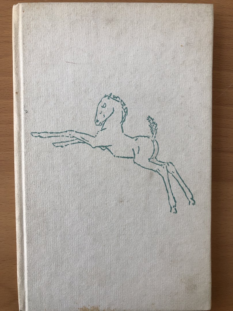 Cover von Reitvorschrift für eine Geliebte