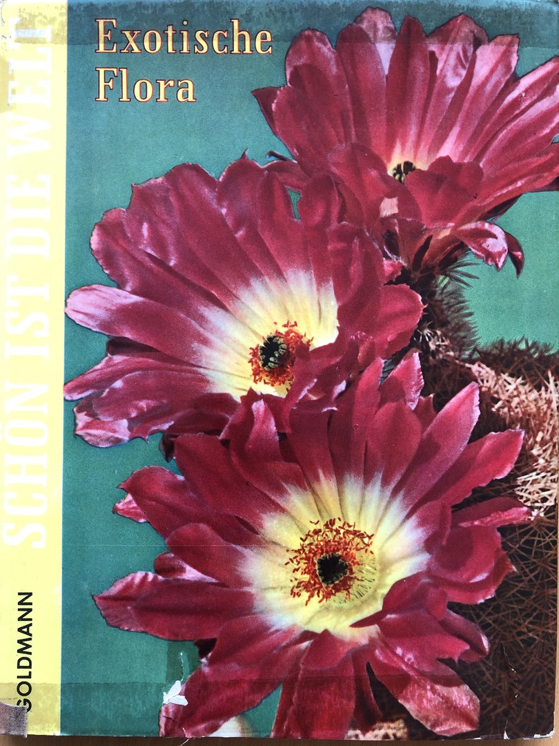 Cover von Schön ist die Welt - Exotische Flora