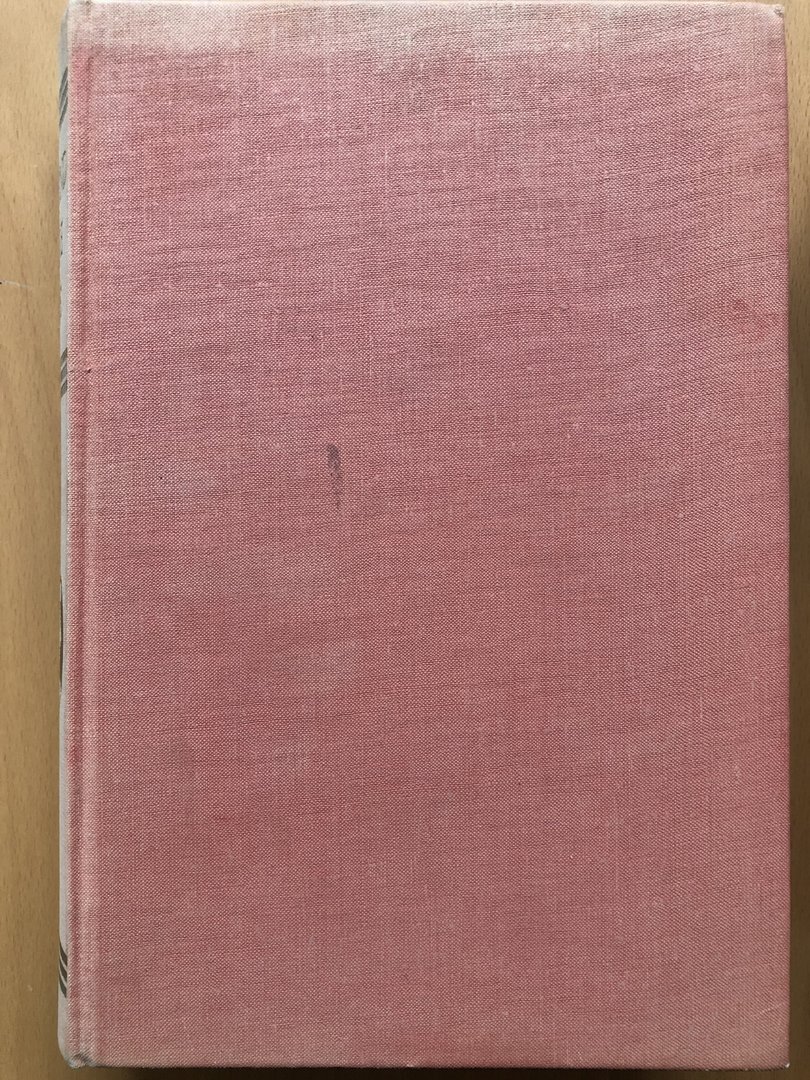 Cover von Tausend Jahre Liebe