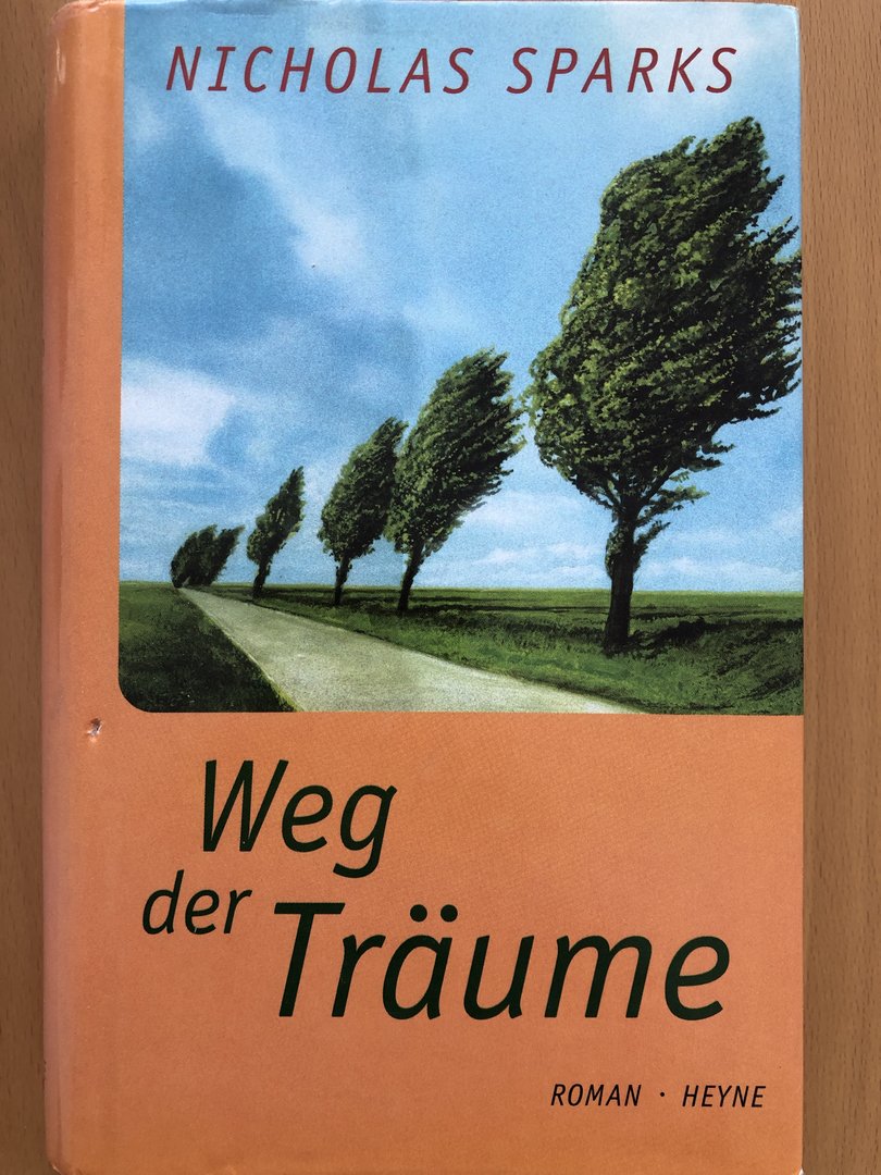 Cover von Weg der Träume